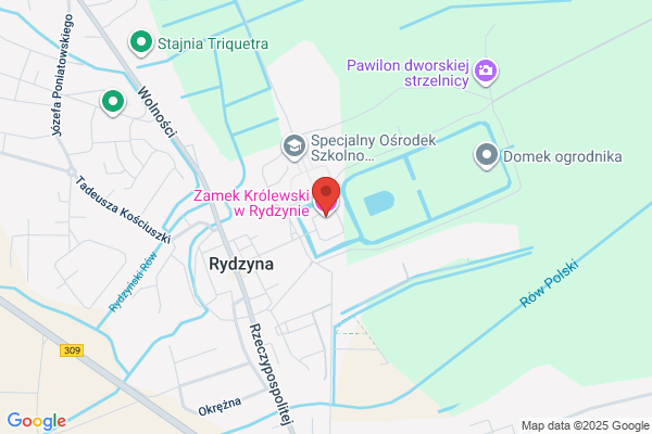 Zamek Rydzyna. Ho