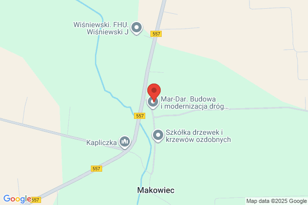 Rajchel Marek. Samochodowy transport towarowy