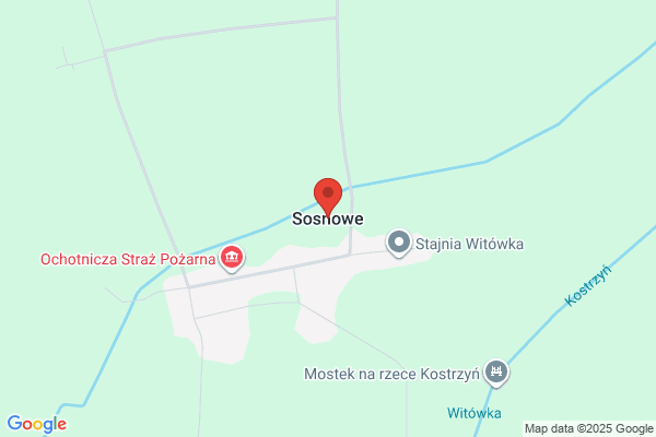 Rajchel Marek. Samochodowy transport towarowy
