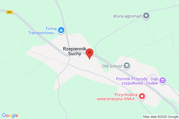 Parafia rzymskokatolicka NMP Królowej Polski