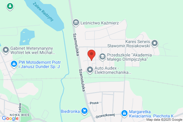 Starowicz Magdalena. Magiel elektryczny