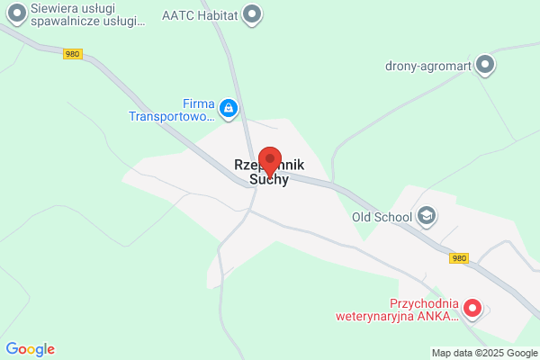 Szkola Podstawowa