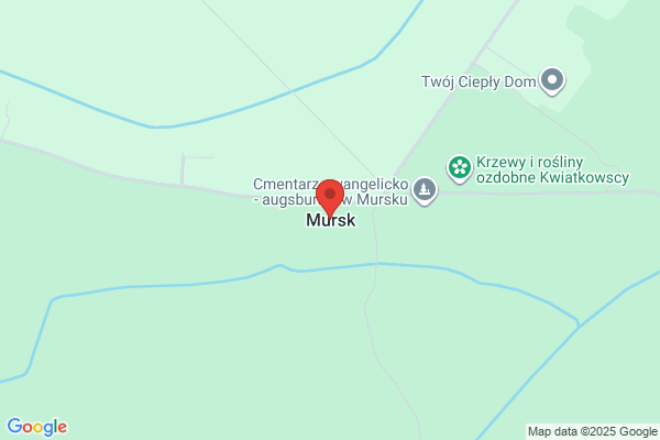 Murkas. Muraczewski T.