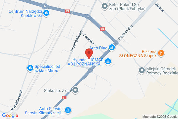 Business Mobility International. Sp. z o.o. Firma konsultingowa