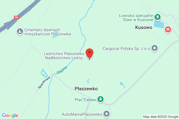 Lesnictwo Plaszewko. Nadlesnictwo Lesny Dwór
