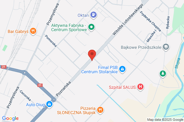 Plucinska H. Salon meblowy