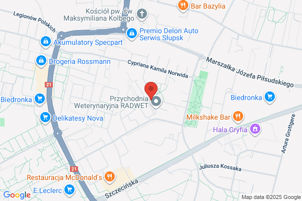 Rywal. Sklep miesny