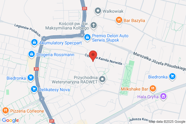 Alarmy SC. Leleniewski S., Szanel M.