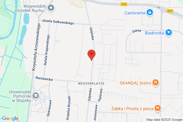 Szarski Mieczyslaw, mgr inz. Zaklad robót drogowych