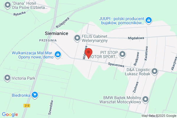 Czyzewski Wieslaw. Uslugowy zaklad diagnostyki samochodowej