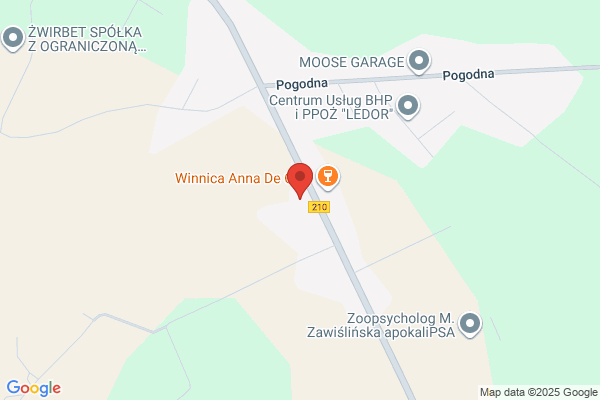 Kotarski P., Glinski D. Autohandel SC