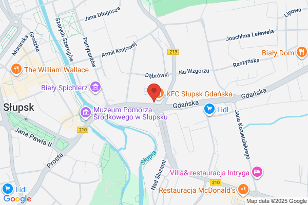 Polski Koncern Naftowy Orlen SA. Stacja paliw