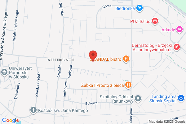 Simon Maria. Tlumacz przysiegly jez. niemieckiego
