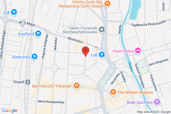 Szczucki Wieslaw. Uslugi transportowe