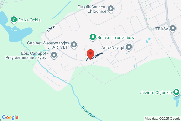 Wójcik Stefan. Konserwacja dziel sztuki