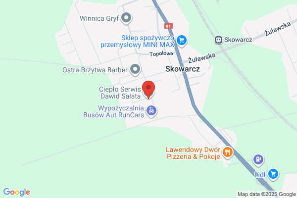 Cieplo-Serwis. Serwis kotlów c.o. Debiec A., mgr inz., Debiec T., mgr inz.