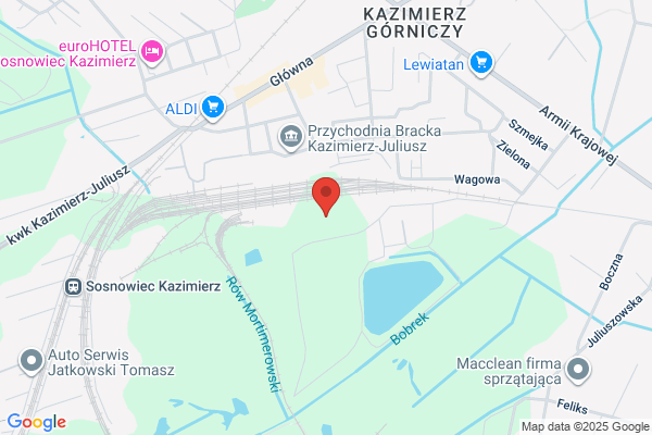 Kazimierz-Juliusz. Sp. z o.o. Kopalnia Wegla Kamiennego
