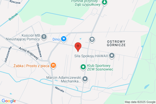 Ognisko Pracy Pozaszkolnej nr 1