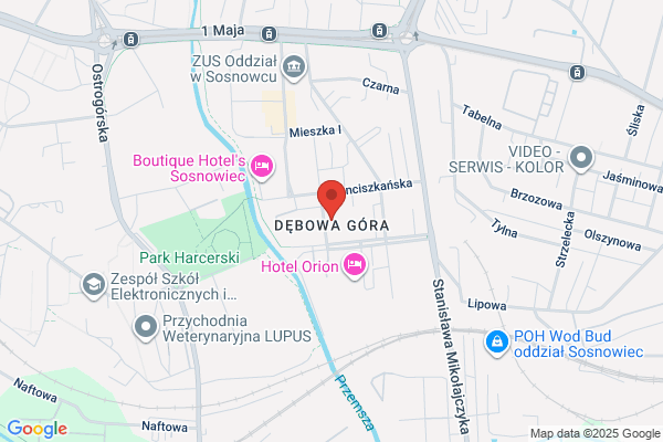 Panstwowy Instytut Geologiczny. Oddzial Górnoslaski