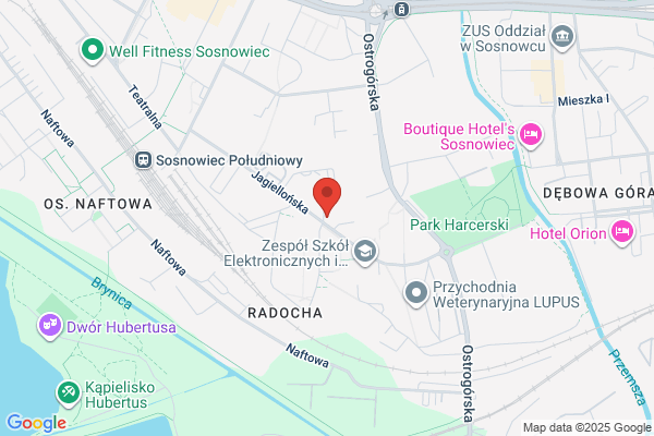 Princess. Rajstopy. Import, produkcja, dystrybucja