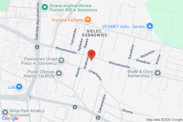Ravicar. Sprzedaz samochodów ciezarowych