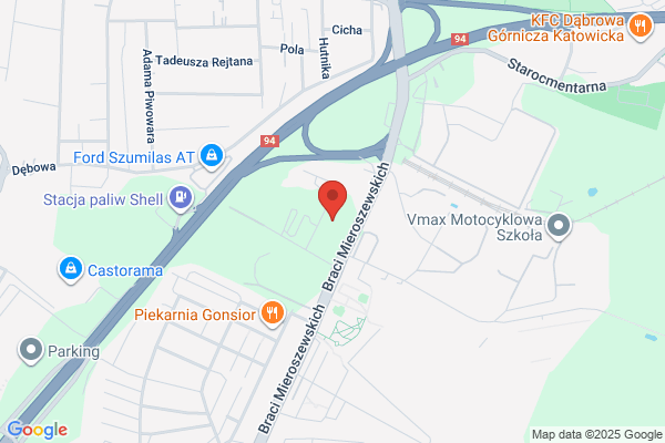 Górnik Sosnowiec. Klub sportowy