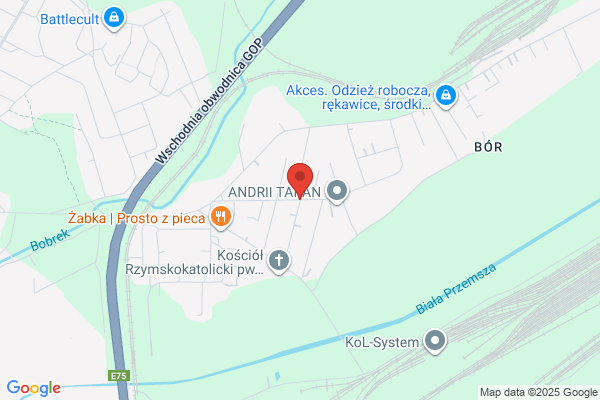 Kudela. Prazenie slonecznika