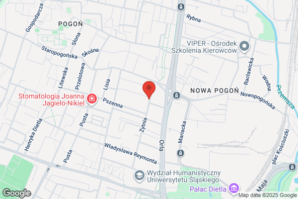 Niepubliczne Policealne Studium Ho