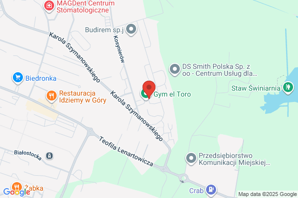 Polonia Taxi SC