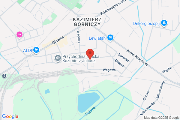 Kwasniak E., Dubiel D., Myszkowski R. Gabinet weterynaryjny SC