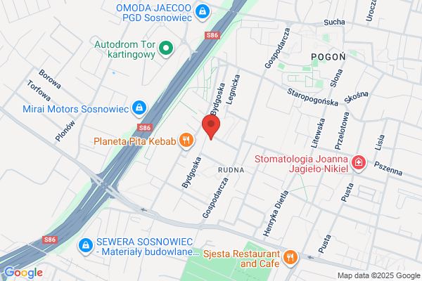 Terrier. Lecznica dla zwierzat