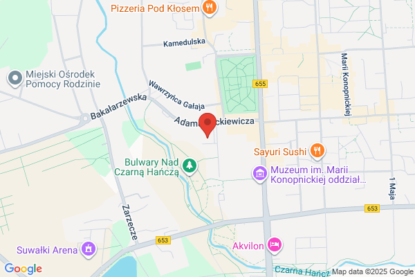 Wiszowaty Grzegorz. Geodezja