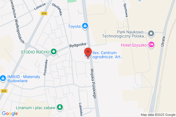 Ilex. Centrum ogrodnicze. Art. ogrodnicze, rosliny ozdobne