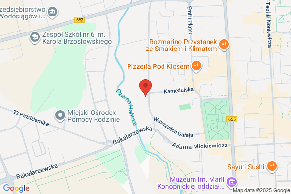 Renault. Stacja obslugi pojazdów
