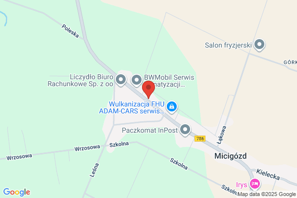 Domoracka Alicja. Handel artykulami spozywczymi i przemyslowymi