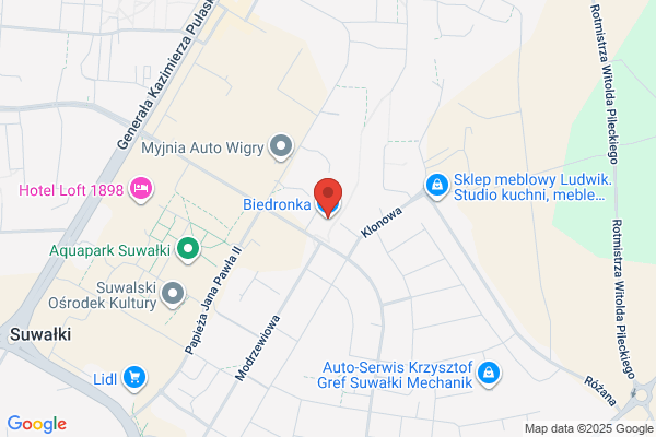 Biedronka. Dyskont spozywczy