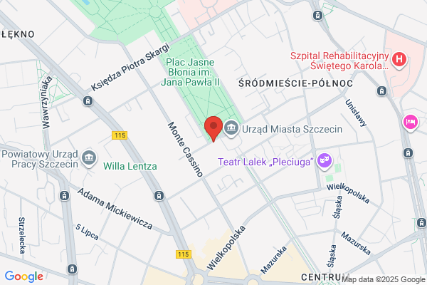 Biuro Planowania Przestrzennego Miasta