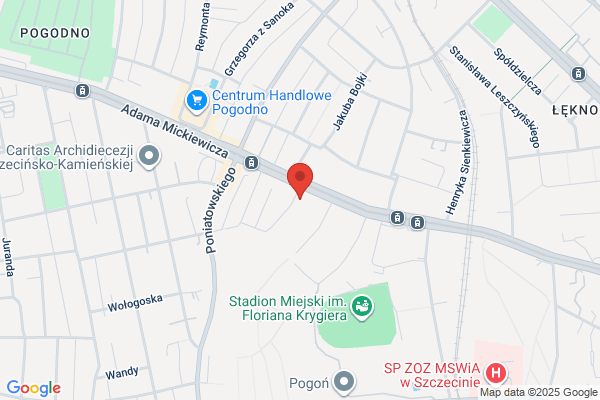 To-Max. ZHU. Pracownia projektowa. Tomski R.