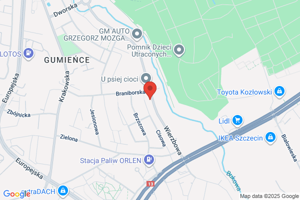 Ziarno Miroslaw i Renata. Uslugi projektowe
