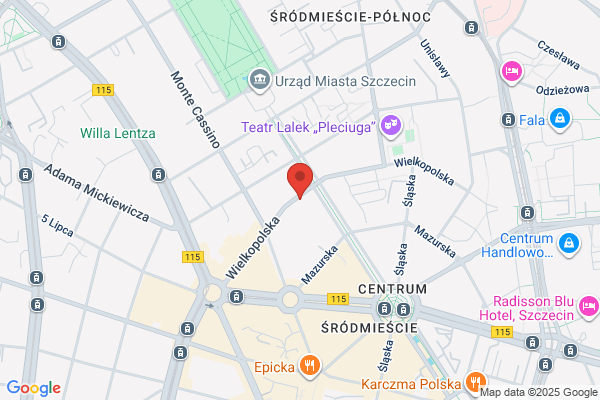 Esthetic. Salon fryzjerski. Badanie mikrokamera