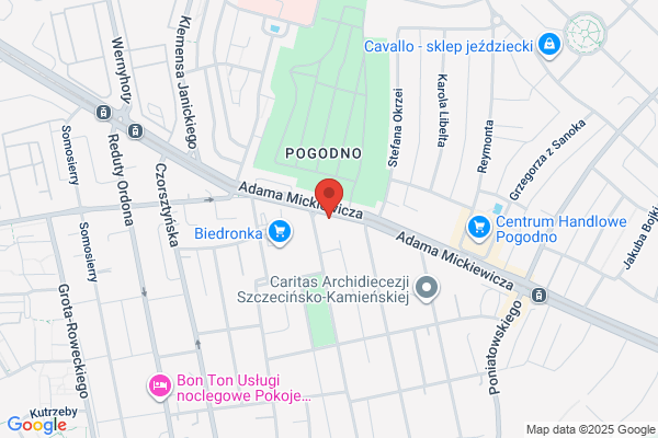 Artgeo. Geologia inzynierska. Ober M.