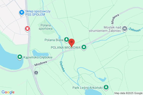 Lesniczy E., Szelewicki E. Zaklad uslugowy SC