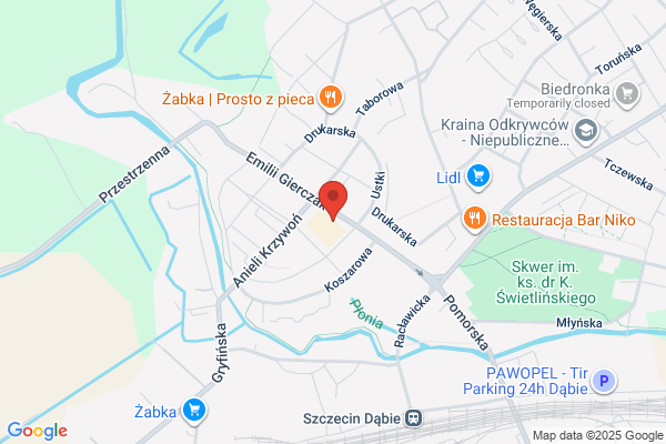 Lider. Uslugi kserograficzne