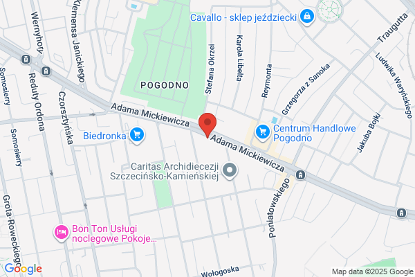Anmit. ZHU. Wróblewski A.