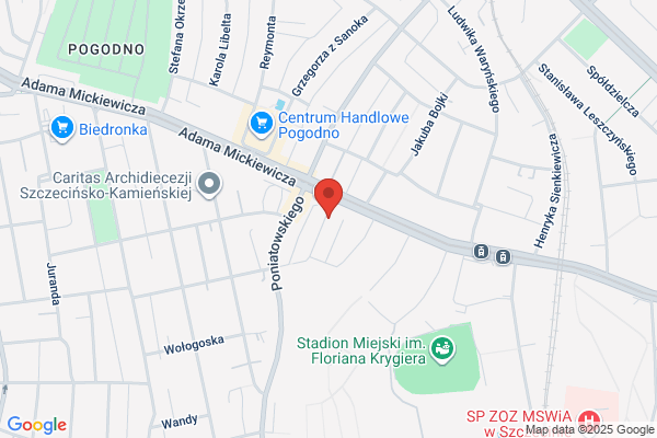 Korwin-Piotrowska Teresa, doc. dr hab. med. Spec. neurolog