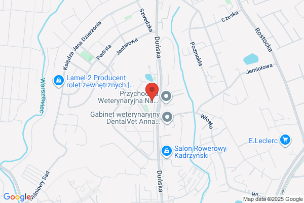 Ars Dentica. Implanty, protetyka, bezbolesne leczenie zebów