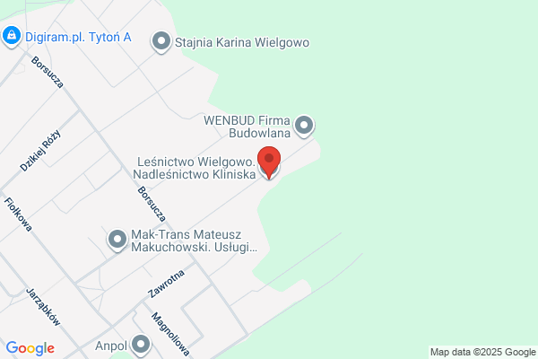 Lesnictwo Wielgowo. Nadlesnictwo Kliniska