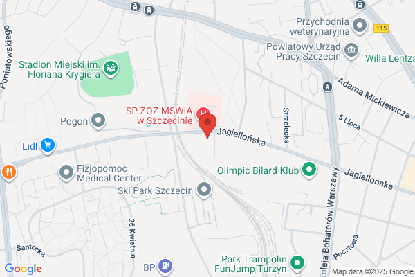 Lodis. Produkcja i sprzedaz lodów. Skwierawski J.
