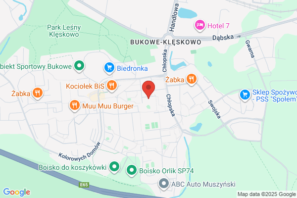Augustynski Grzegorz. Bioenergoterapia, kregarstwo