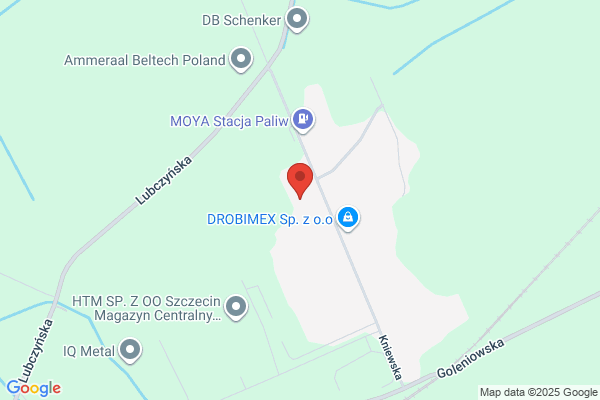 Schmittenberg-Pol. Sp. z o.o. Tlocznictwo metalu, Przemysl samochodowy